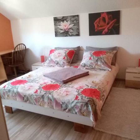 Apartman Franjicic Korenica Exterior foto