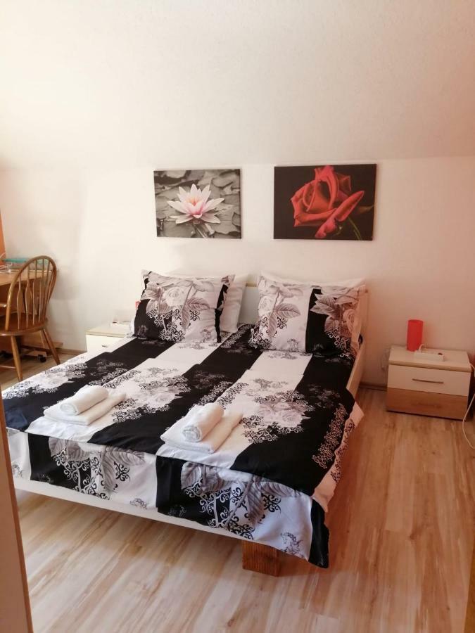 Apartman Franjicic Korenica Exterior foto